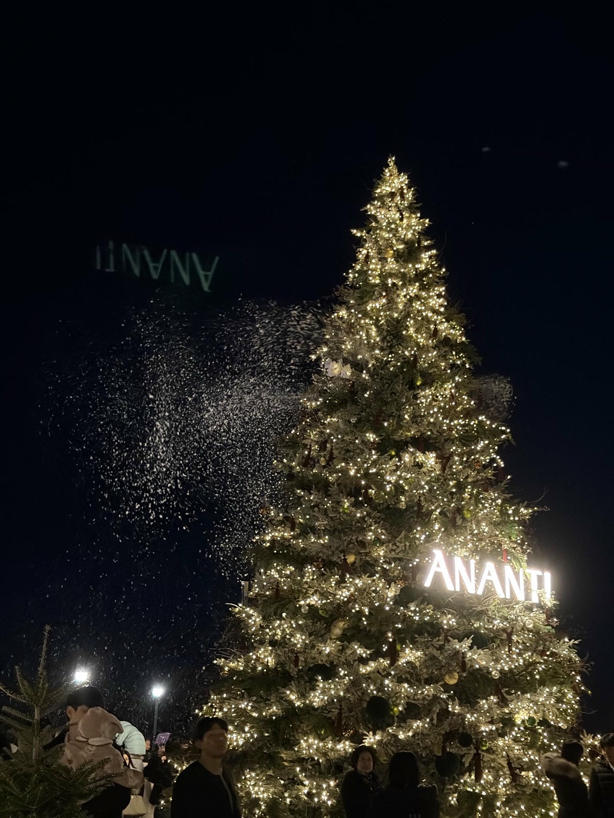 빌라쥬드 아난티 모비딕마켓 크리스마스 시즌 방문 후기 및 꿀팁 11 IMG 1679