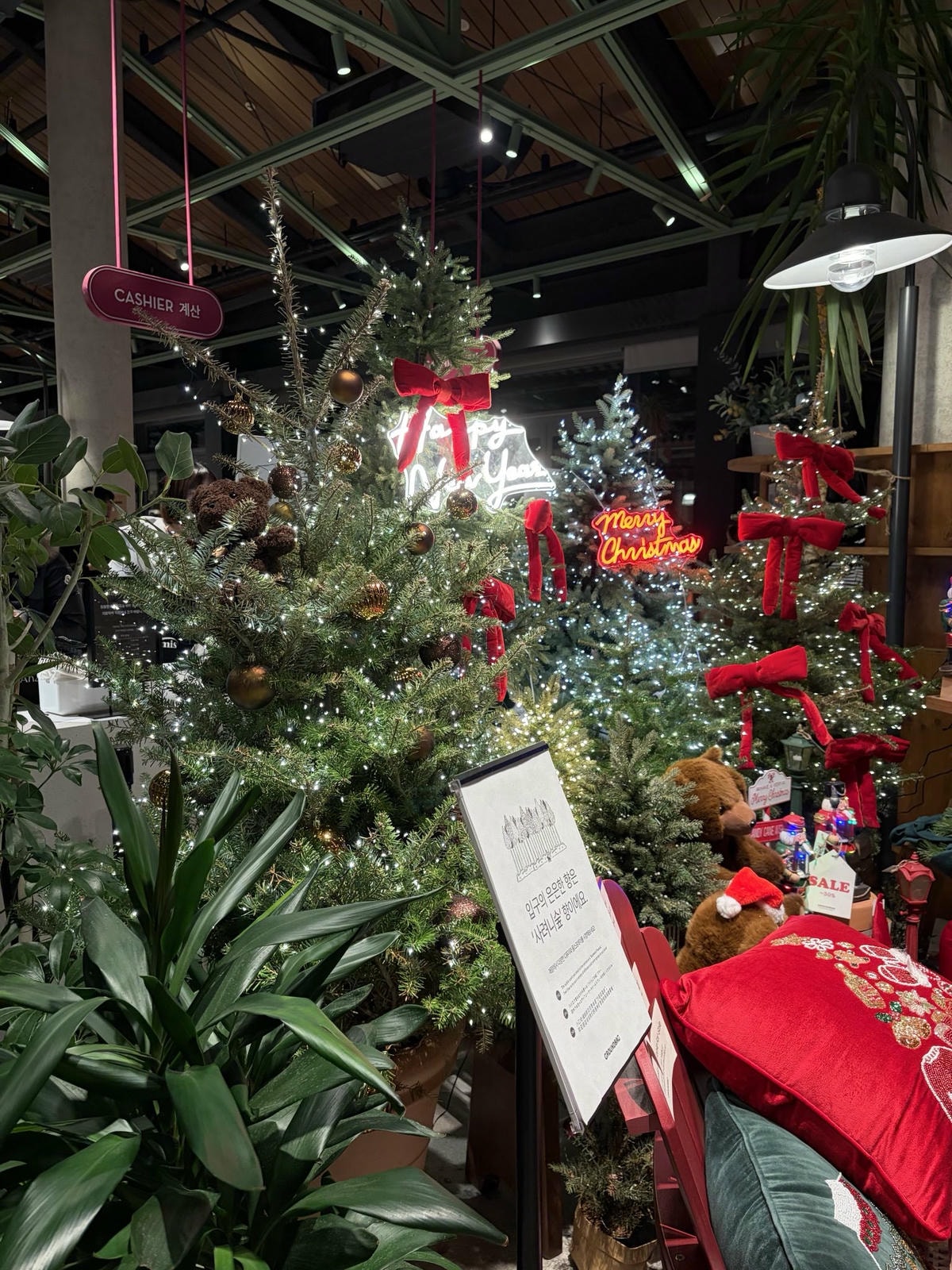 빌라쥬드 아난티 모비딕마켓 크리스마스 시즌 방문 후기 및 꿀팁 9 IMG 1694