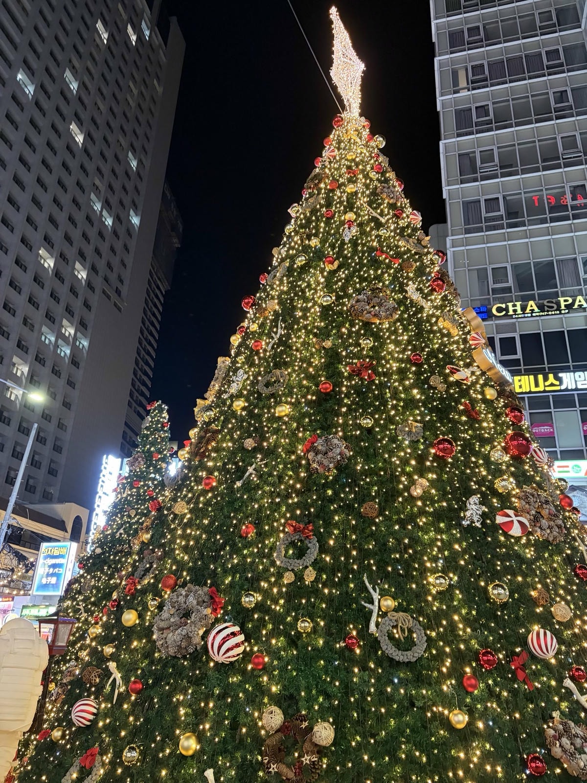 해운대 빛축제 2025 직접 다녀온 후기 및 주차 팁, 맛집 정보 9 IMG 1701