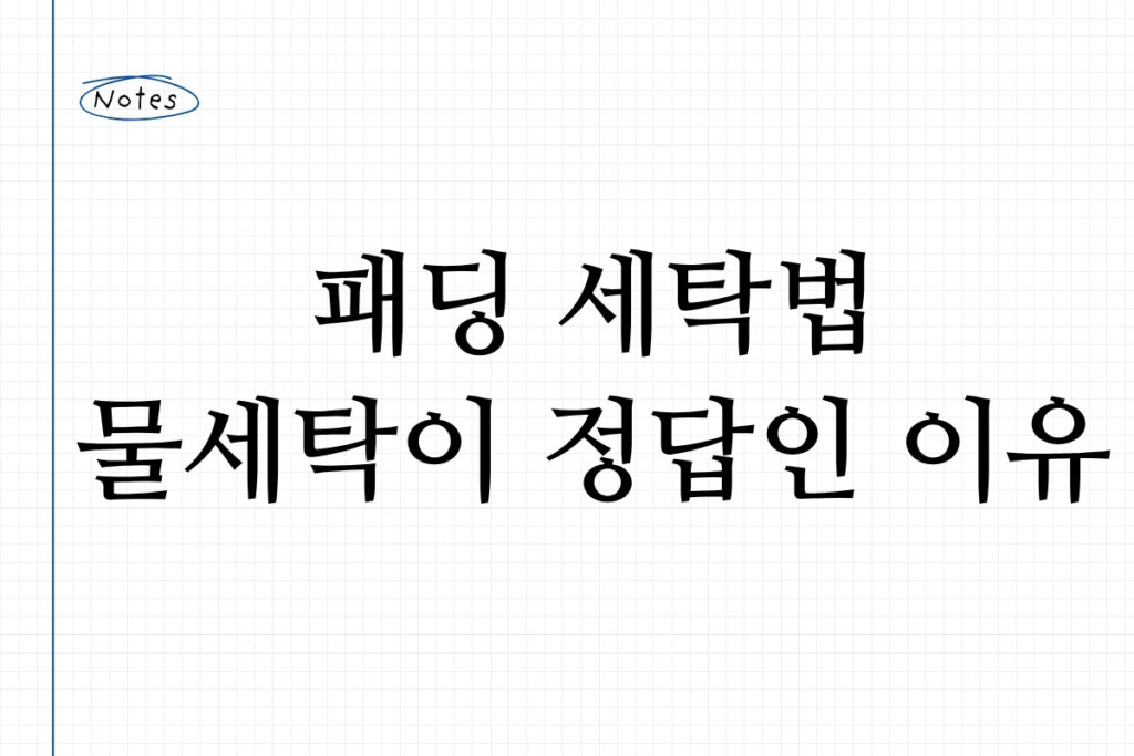 패딩 세탁법 물세탁이 정답인 이유